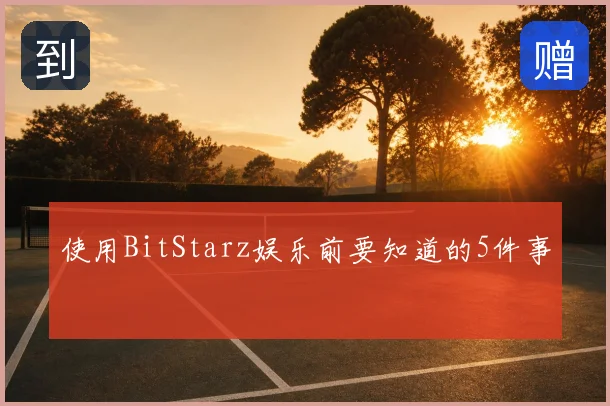 使用BitStarz娱乐前要知道的5件事